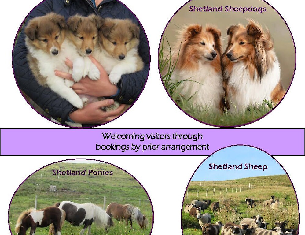 Breckenlea Croft Tours